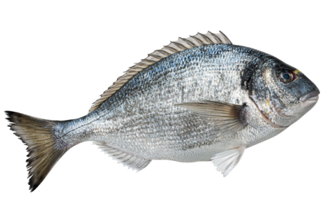 Wild Caught Pacific Cod Fillet Portions, 1 lb (Frozen)