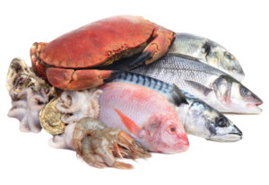 Essential Atlantic Salmon Portions 2-portions