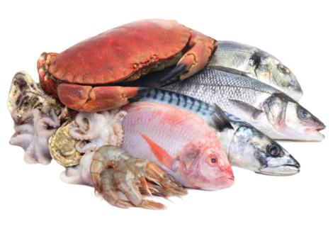 Essential Atlantic Salmon Portions 2-portions