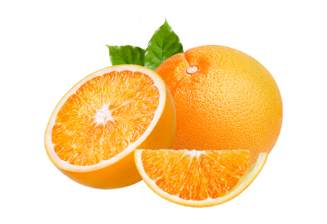 Juicy USA River Florida Navel Oranges Grove Fresh 2 Trays
