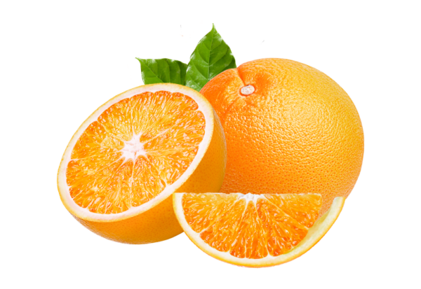 Juicy USA River Florida Navel Oranges Grove Fresh 2 Trays